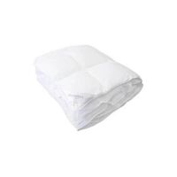 Sleeptex CELOROČNÁ PRIKRÝVKA, 200/200 cm, polyester, duté vlákno