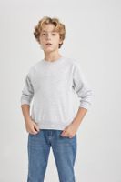 DEFACTO Boy's Crew Neck Basic Sweatshirt