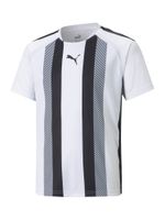 PUMA Tehnička sportska majica 'Team Liga'  crna / bijela