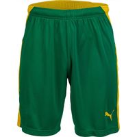 Puma KC LIGA SHORTS Мъжки къси панталони за футбол, зелено, размер
