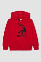 DEFACTO Boy's Sweatshirt