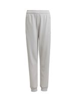 ADIDAS PERFORMANCE Sportske hlače 'Tiro 25 Travel'  siva