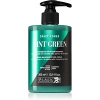 Black Professional Line Crazy Toner farbige Haartönung Mint Green 300 ml