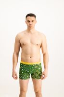 Men's boxers Frogies Zodiac Zwillinge