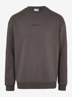 O'Neill Future Surf Society Sweatshirt Grün