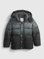 GAP Children's Winter Quilted Jacket