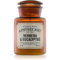 Paddywax Apothecary Verbena & Eucalyptus aроматична свічка 226 гр