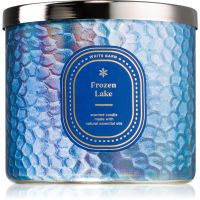 Bath & Body Works Frozen Lake ароматна свещ 411 гр.