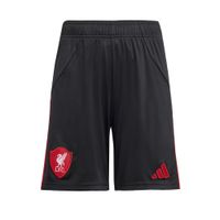 ADIDAS PERFORMANCE Sportske hlače 'Liverpool FC 25/26'  crvena / crna / bijela
