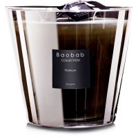 Baobab Collection Les Exclusives Platinum aроматична свічка 500 гр