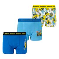 Herren Boxershorts Licensed