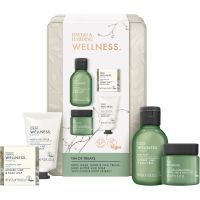 Baylis & Harding Wellness. Energise Geschenkset für den Körper Ginger, Lime & Basil Leaf