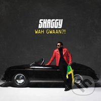 Shaggy: Wah Gwaan? LP (2 LP) - Shaggy