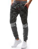 Herren Trainingshose DStreet Camo