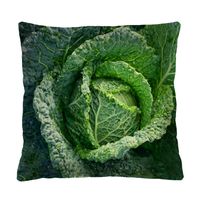 Bertoni Home Unisex's Square Pillow Cabbage