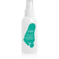 Ziaja Foot Care Fußspary 100 ml