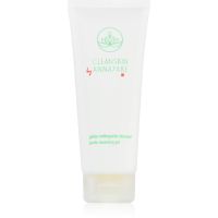 Annayake CleanSkin Gentle Cleansing Gel гель для вмивання обличчя для досконалого очищення шкіри 100 мл