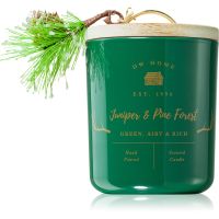 DW Home Farmhouse Juniper & Pine Forest Duftkerze 445 g