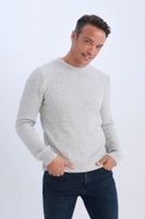 DEFACTO Standard Fit Regular Cut Crew Neck Textured Basic Plain Knitwear Sweater