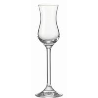 Leonardo SKLENICE NA DIGESTIV