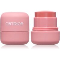 Catrice My Core Essentials багатофункціональний макіяж для очей та обличчя відтінок C02 Peak Power 7.8 гр