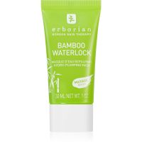 Erborian Bamboo hĺbkovo hydratačná maska 30 ml