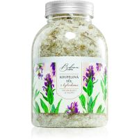 Bohemia Gifts & Cosmetics Bohemia Natur relaxační koupelová sůl 1200 g