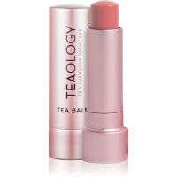 Teaology Tea Balm vlažilni balzam za ustnice v paličici odtenek Peach Tea 4 g