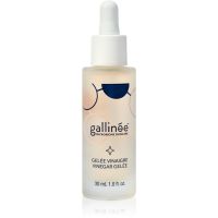 Gallinée SKIN CARE Vinegar Gelée serum za obraz za problematično kožo 30 ml