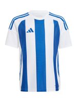 ADIDAS PERFORMANCE Tehnička sportska majica  svijetloplava / bijela
