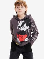 Desigual Austin Mickey Sweatshirt Kinder Grau