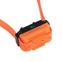 Canicom R-1500 - narancssárga | Elektronikus kiképző nyakörv - 1 kutyának