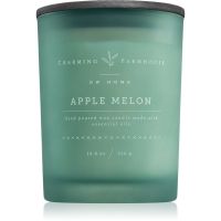 DW Home Charming Farmhouse Apple Melon vonná svíčka 414 g