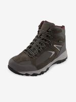 ALPINE PRO Romoos Stiefeletten Grau