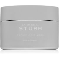 Dr. Barbara Sturm Repair Hair Mask regeneračná maska pre suché a nepoddajné vlasy 200 ml