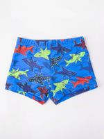 Yoclub Kids's Boy's Swimming Shorts LKS-0055C-A100