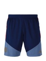 ADIDAS PERFORMANCE Sportske hlače 'Teamline'  golublje plava / tamno plava / crvena