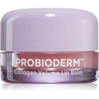 BIOHEAL BOH Probioderm Collagen Volume Lip Balm зволожуючий бальзам для губ з колагеном 15 мл