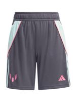 ADIDAS PERFORMANCE Sportske hlače 'Messi'  siva / menta / svijetloroza