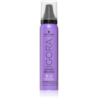 Schwarzkopf Professional IGORA Expert Mousse pena za barvanje za lase odtenek 8-1 Light Blonde Cendré 100 ml