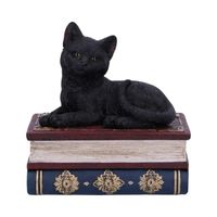 Dekofigur/Deko-Box - Salems Spells