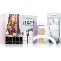 NEONAIL Starter Set 21 Days Perfect Nails манікюрний набір