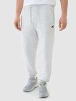 4F Jogginghose Grau