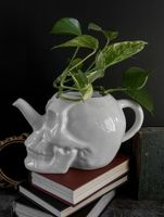 Gießkanne KILLSTAR - Cranium