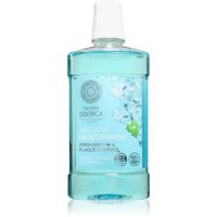 Natura Siberica Natural Mouthwash Fresh Breath & Plaque Control Mundspülung für frischen Atem 520 ml