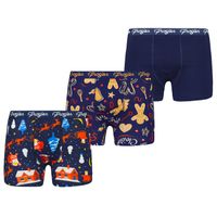 Men's boxers Winterclassic 3P Frogies Christmas