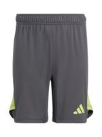 ADIDAS PERFORMANCE Sportske hlače 'Tiro 25 Pro'  tamo siva / jabuka