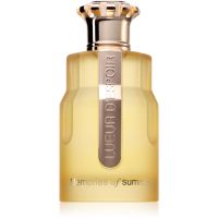 Emir Lueur d'Espoir Memories of Summer parfumska voda uniseks 100 ml