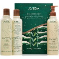 Aveda Holiday Rosemary Mint Invigorating Essentials darilni set (za telo in lase)