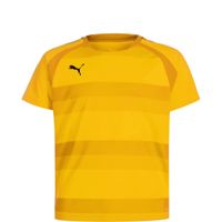 PUMA Tehnička sportska majica 'TeamVision'  žuta / narančasta / pastelno narančasta / crna